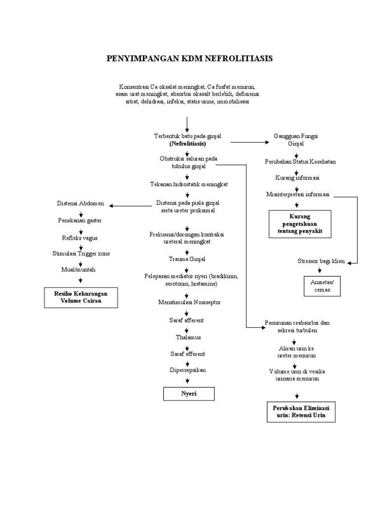 Penyimpangan KDM Nefrolitiasis Complk | PDF