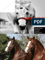 Apresentação- cavalo bretão- Finall (2)