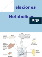 Integracion Metabolica-2