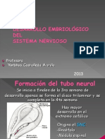 CLASE DE NERVIOSO EMBRIOLOGIA PROF. YORBHIS CASTAÑEDA Ultima Revision 2013