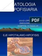 Patología hipofisiaria: tumores, hormonas y tratamientos