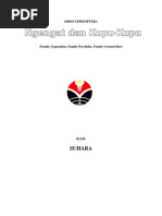 Download Ngengat Dan Kupu-Kupu Ppt Entomologi by Sinta Handayani SN193918735 doc pdf