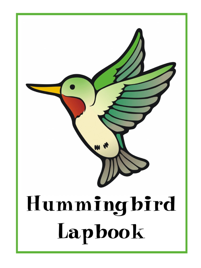 Hummingbirds Complete | PDF | Nest | Tetrapods