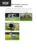 Hewan Pemakan Tumbuhan Daging Dan Segalanya