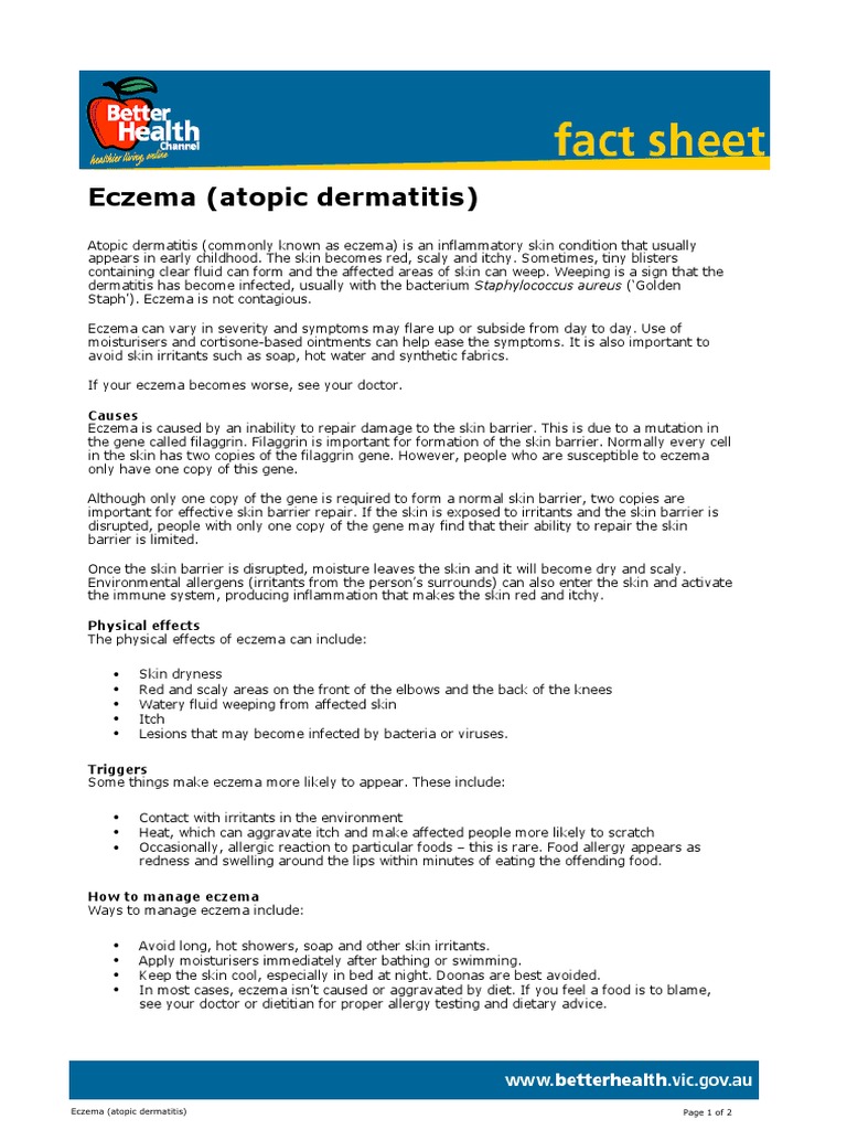 Eczema Explained PDF Dermatitis Allergy