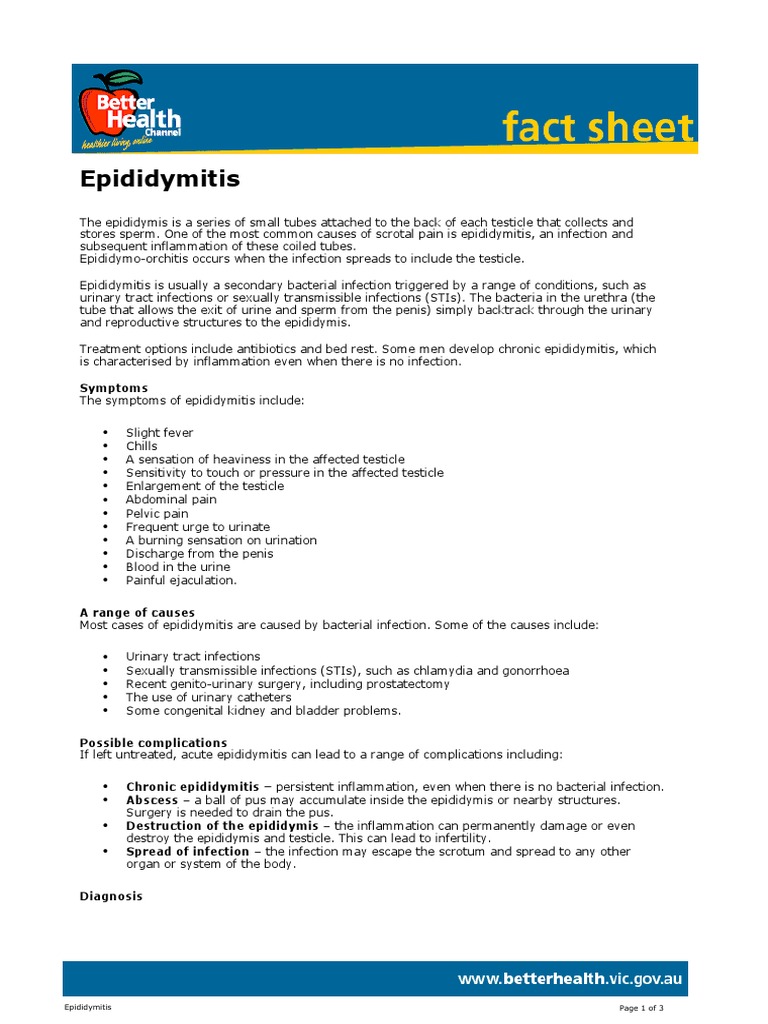 Epididymitis.pdf | Diseases And Disorders | Medical Specialties