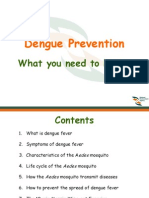 Dengue Awareness