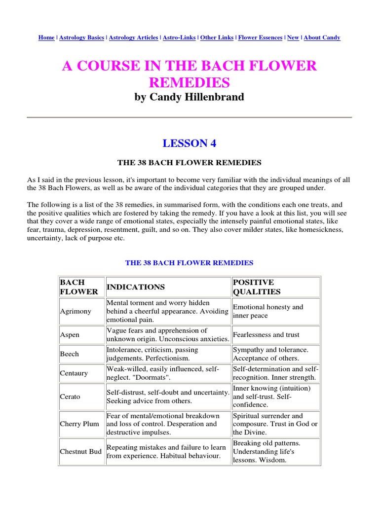 Bach Flower Therpy Courage Anxiety