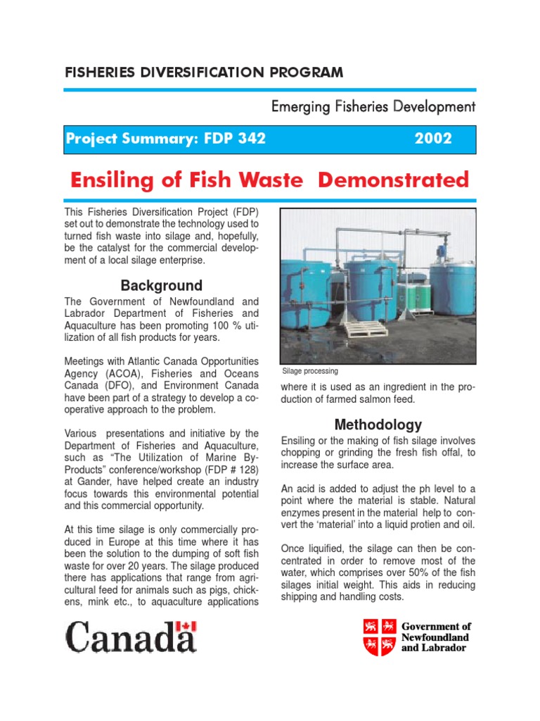 Fish Waste Silage Production Project | PDF | Aquaculture | Animal Feed