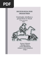 Livro Sociologia Dos Desastres Versao Eletronica