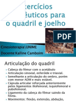 Cinesioterapia do quadril e joelho