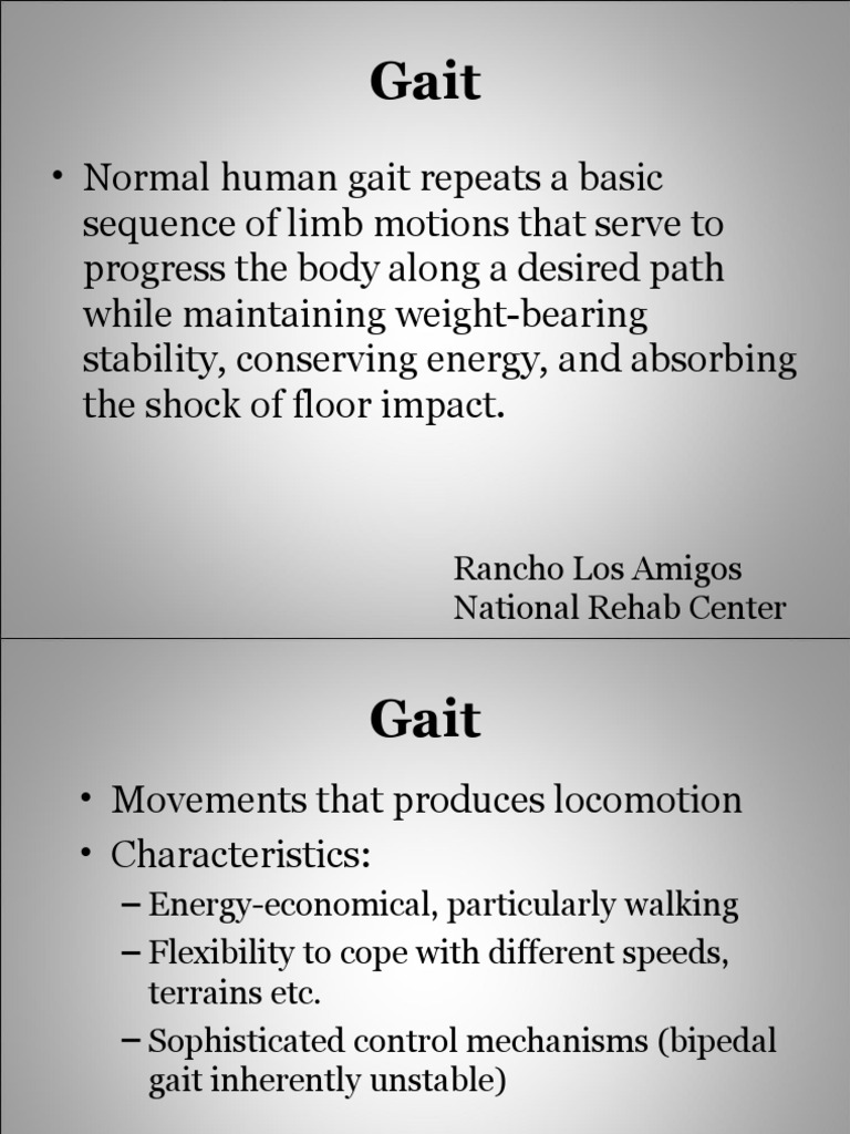 Gait Cycle | PDF | Foot | Anatomical Terms Of Motion