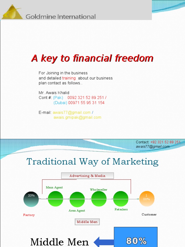 GMI Network Marketing Opportunity Guide | PDF | Multi Level Marketing ...