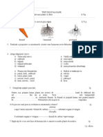 0 0 Organe Vegetative 5