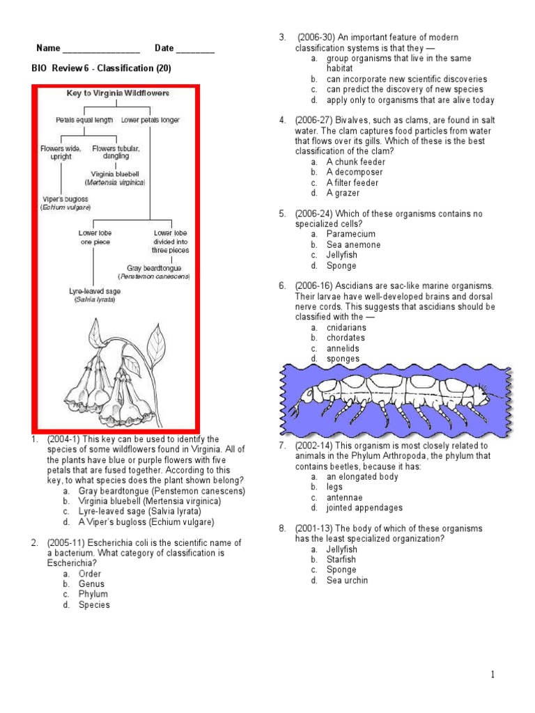 Bio Sol Review 6 Classification PDF Biology Organisms