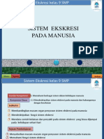 Sistem Ekskresi Arifa