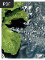 Plásticos de Origem Vegetal