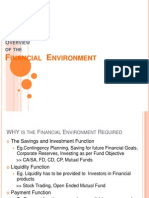 Financial Environment