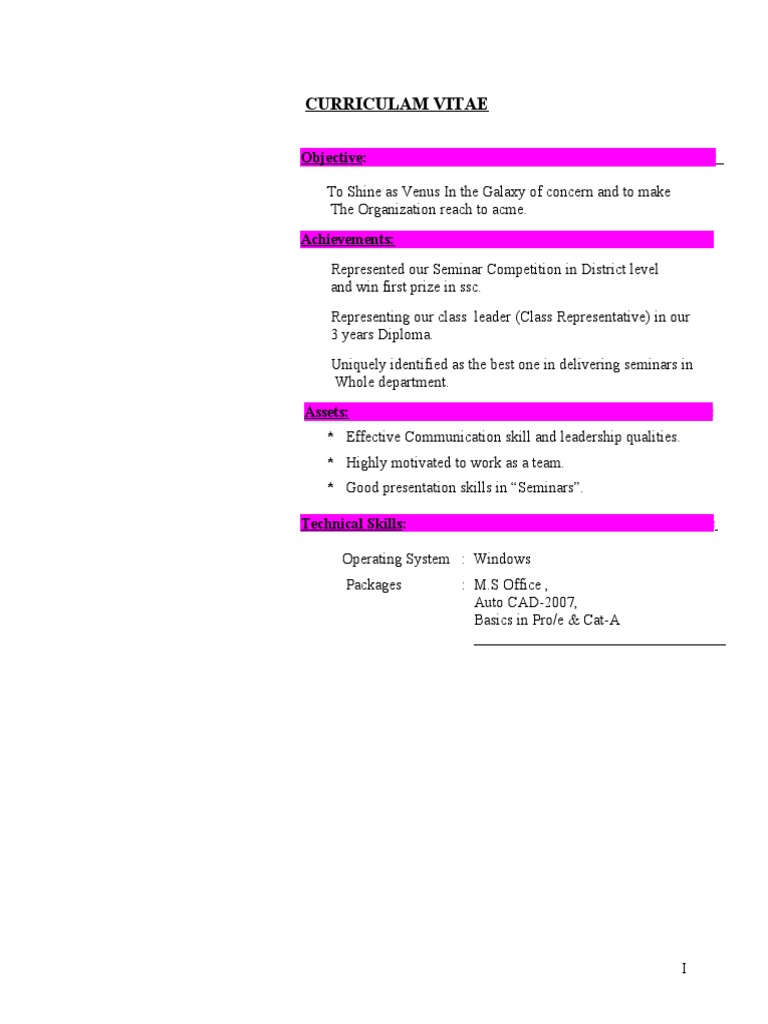 CV Example in Kiswahili | PDF | Computers