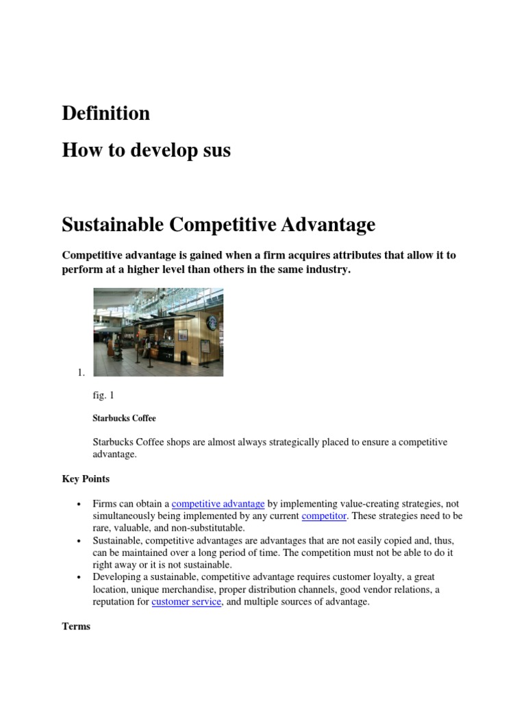 Developing Sustainable Competitive Advantage | PDF | Competitive ...