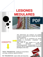 Lesiones Medulares