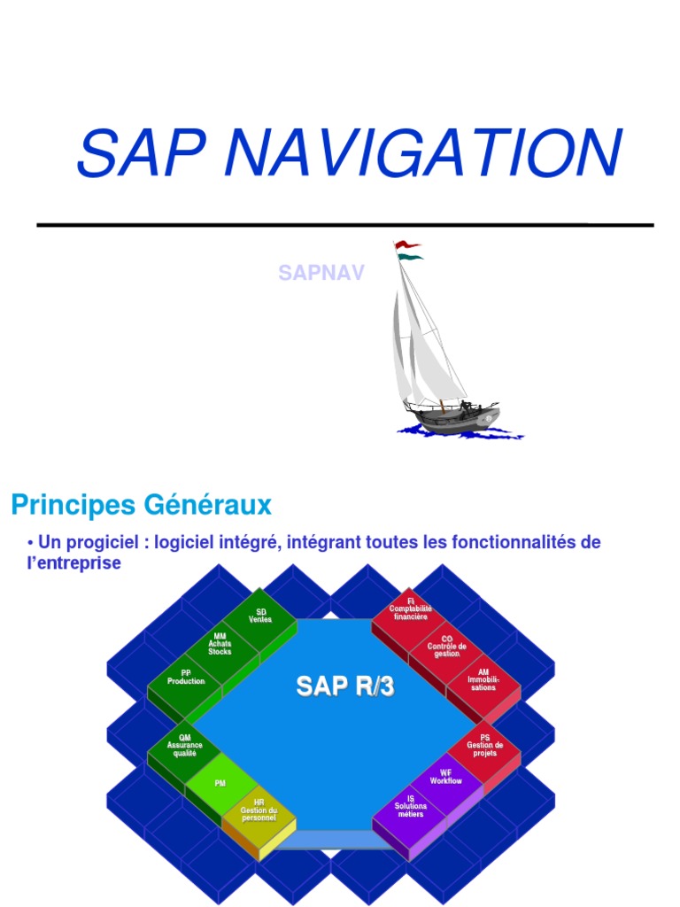 Introduction à la navigation SAP | PDF | Logiciel | Informatique