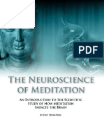 Neuroscience of Meditation - Chapter 3