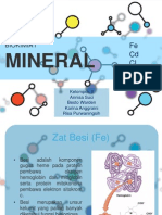 Mineral Fe CD CL Na