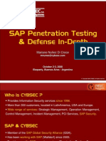 SAP Penetration Test Framework