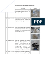 LAPORAN SEMENTARA PRAKTIKUM