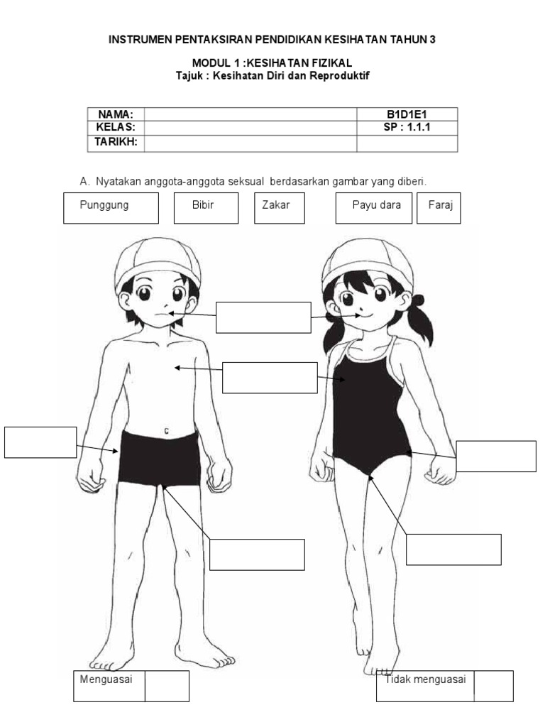 Kesihatan Diri Dan Reproduktif Pdf