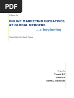 Online Marketing Initiatives - Final Report