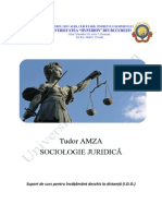 Sociologie Juridica an 2 Sem 2
