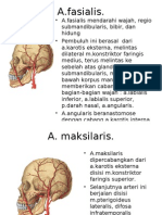KP 6.2-Anatomi Vaskularisasi Orofacial