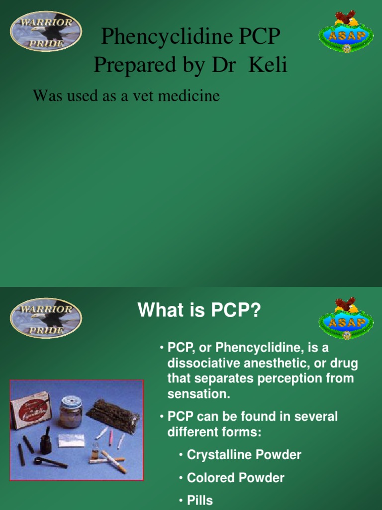 Phencyclidine PCP Hallucinogenics | PDF