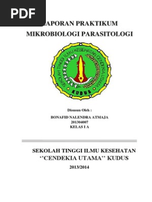 Laporan Mikrobiologi Pengamatan Bakteri