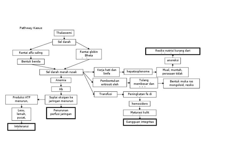  Pathway  Kasus Thalasemia