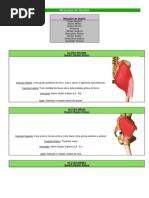 Músculos do Quadril