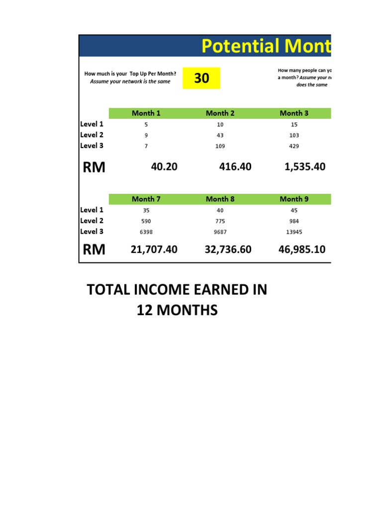 Projected Monthly Income Overview | PDF