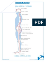 Busquet - Cadenas Musculares.pdf