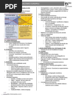 Feudalismo 2013 Resumo Ho