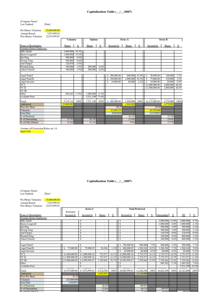 Capitalization Table Overview 2007 | PDF