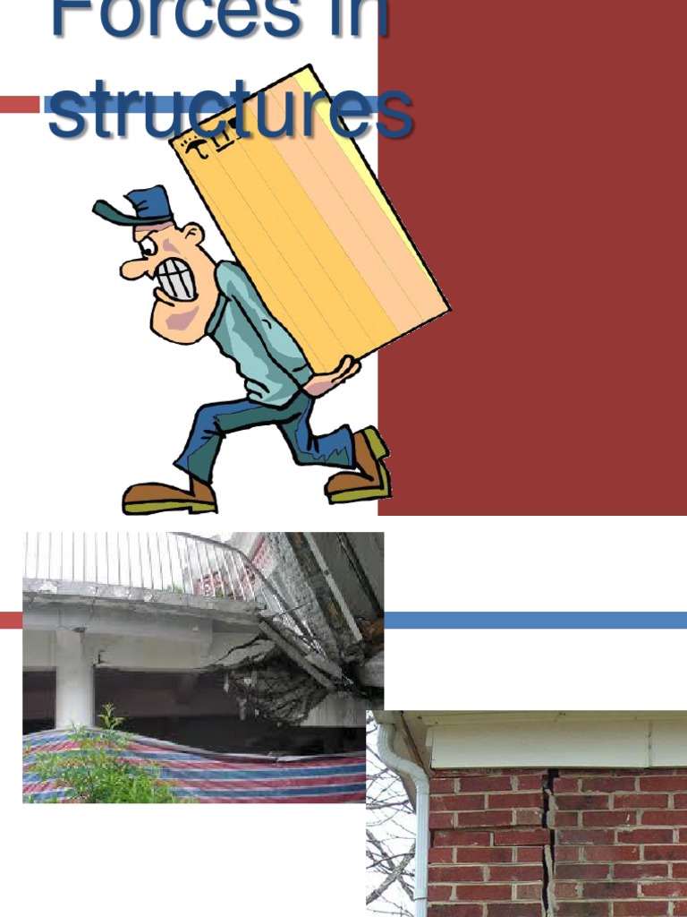 Understanding Forces in Structures | PDF | Career & Growth