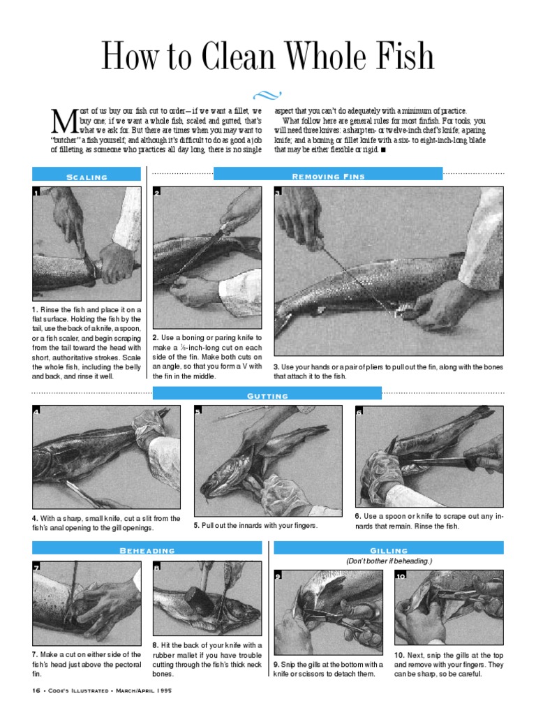 Clean A Fish | PDF | Cooking, Food & Wine | Wellness