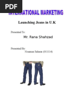 Download Denim Jeans Project by Nadeem SN19449555 doc pdf