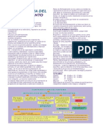 Metodologia Del Entrenamiento