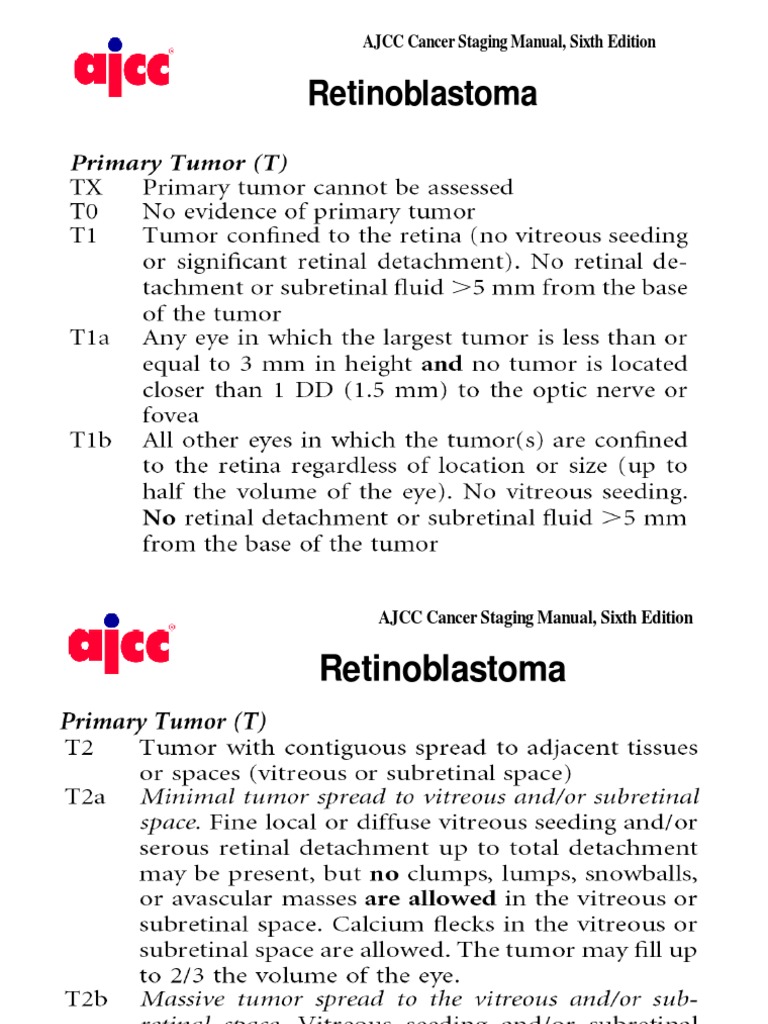 Retinoblastoma Staging Guide | PDF