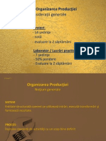 PROIECT Organizara productiei 1_2 (1)