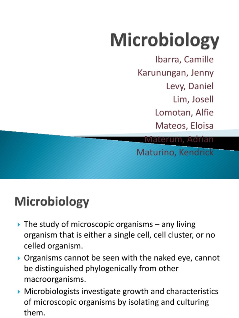 Microbiology Report PDF Microbiology Sterilization (Microbiology)