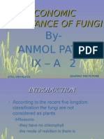 Biology-Economic Importance of Fungi